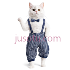 猫,穿着背带裤,领结,白色PNG