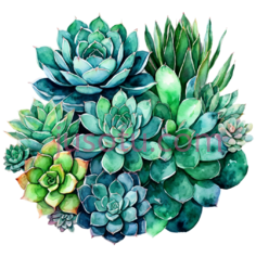 多肉植物,水彩画PNG