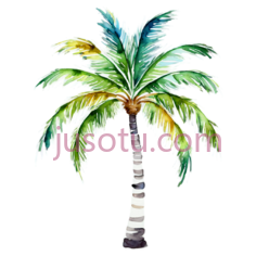 棕榈树,水彩画PNG