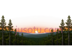 日落,插画,橙色,黑色PNG