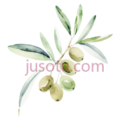 橄榄枝,水彩画,绿色,白色PNG