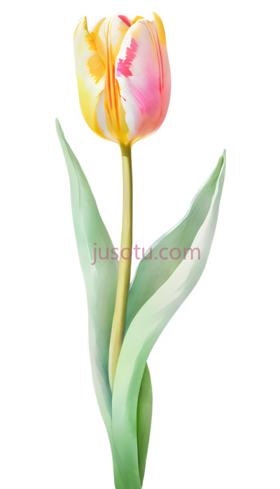 郁金香,水彩画,黄色,粉色, PNG