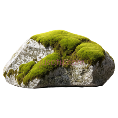 岩石,苔藓, PNG