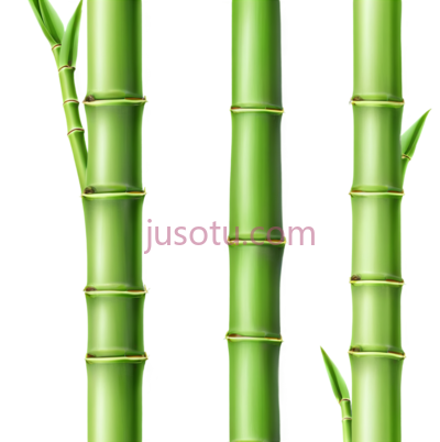 绿竹子, PNG
