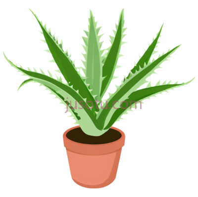 芦荟, PNG