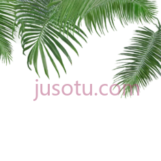 树叶,自然,绿色PNG