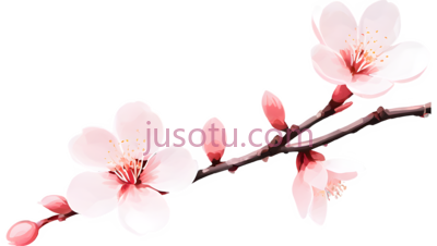 桃花,粉色, PNG