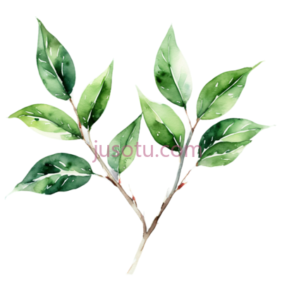 树叶,水彩画,绿色, PNG