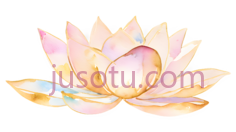 莲花,插画,粉色PNG