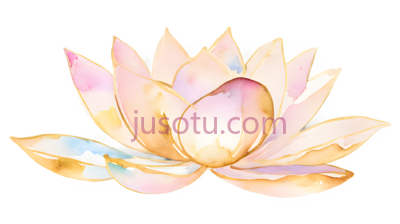 莲花,插画,粉色, PNG