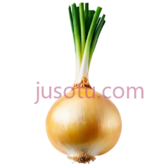 黄色洋葱PNG