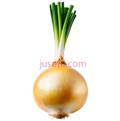 黄色洋葱, PNG
