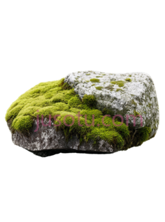岩石,苔藓PNG