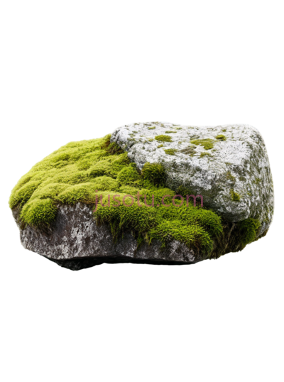 岩石,苔藓, PNG