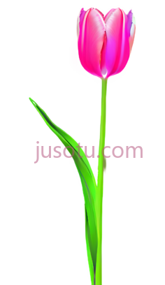 抽象郁金香,数字印刷,霓虹PNG