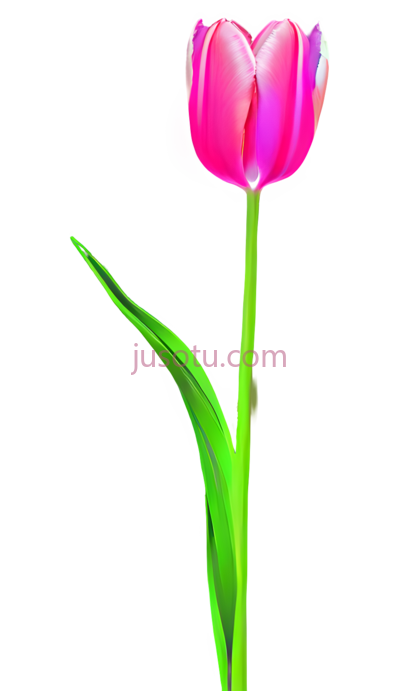 抽象郁金香,数字印刷,霓虹, PNG