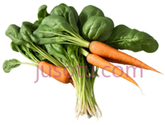 蔬菜,胡萝卜,菠菜PNG