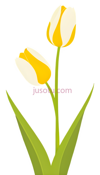 金色郁金香, PNG