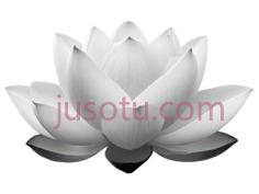 莲花花瓣PNG