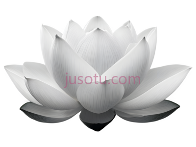 莲花花瓣, PNG