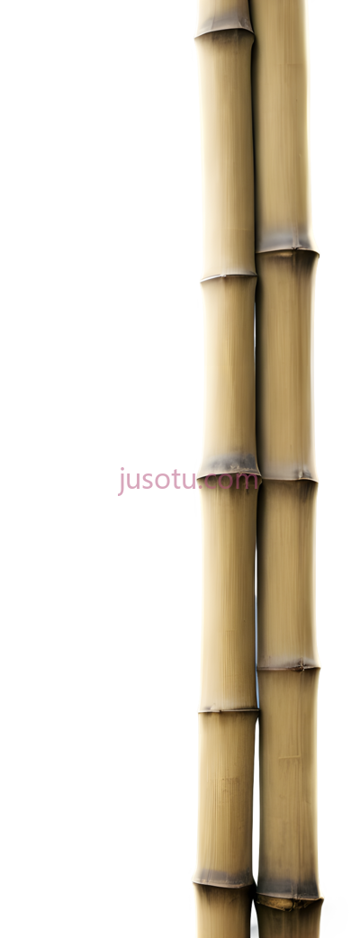 竹卷画,棕褐色, PNG