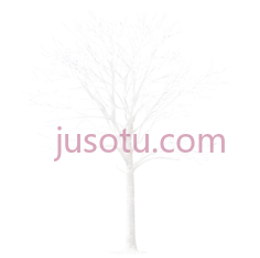 树,白色线条画,白色PNG