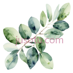 桉树枝,象牙绿PNG
