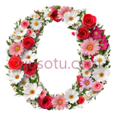 花环,圆形,红色,粉色,白色PNG