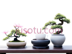 盆栽,花瓶,杯子,灰色PNG