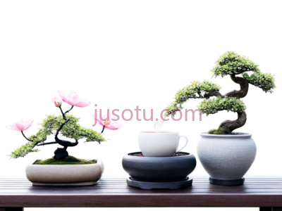 盆栽,花瓶,杯子,灰色, PNG