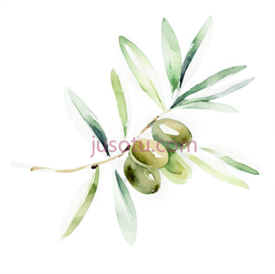 橄榄枝,水彩画,绿色,黑色, PNG