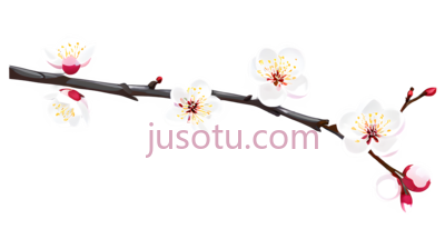 樱花枝, PNG