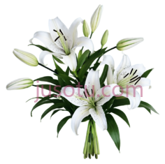 百合,花束,白色PNG