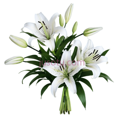 百合,花束,白色, PNG