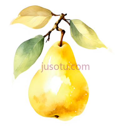 梨,水彩画,黄色, PNG