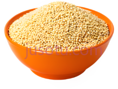 小米,碗,橙色PNG