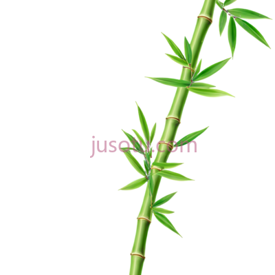 竹枝,叶子, PNG