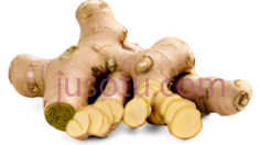 姜根PNG