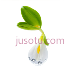 小苍兰,花 PNG