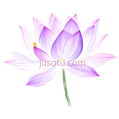 荷花,水彩画,紫色,流线, PNG