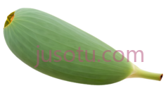 莲花种子PNG