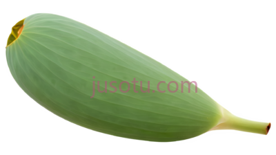 莲花种子, PNG