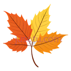 枫叶,插画,黄色,橙色PNG