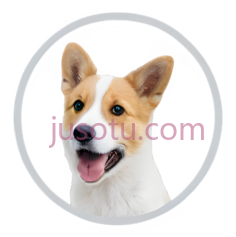 柯基犬,卡通,白色,棕色PNG