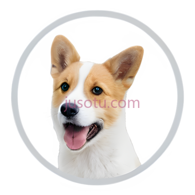 柯基犬,卡通,白色,棕色, PNG