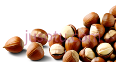榛子,坚果,食品PNG