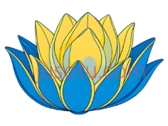 莲花籽荚,蓝黄PNG