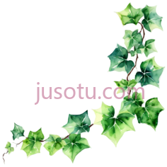 爬山虎PNG