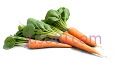 蔬菜,胡萝卜,菠菜PNG