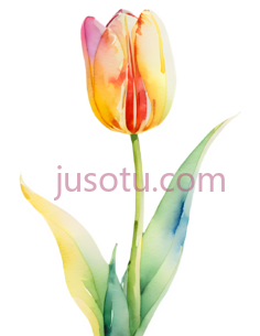 抽象水彩画,郁金香PNG